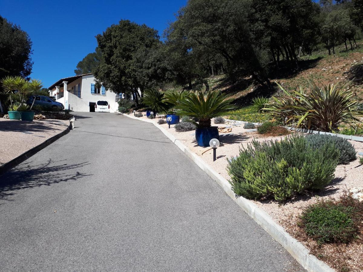 L'Oustaou De L'Estama Bed and Breakfast Rocbaron Εξωτερικό φωτογραφία